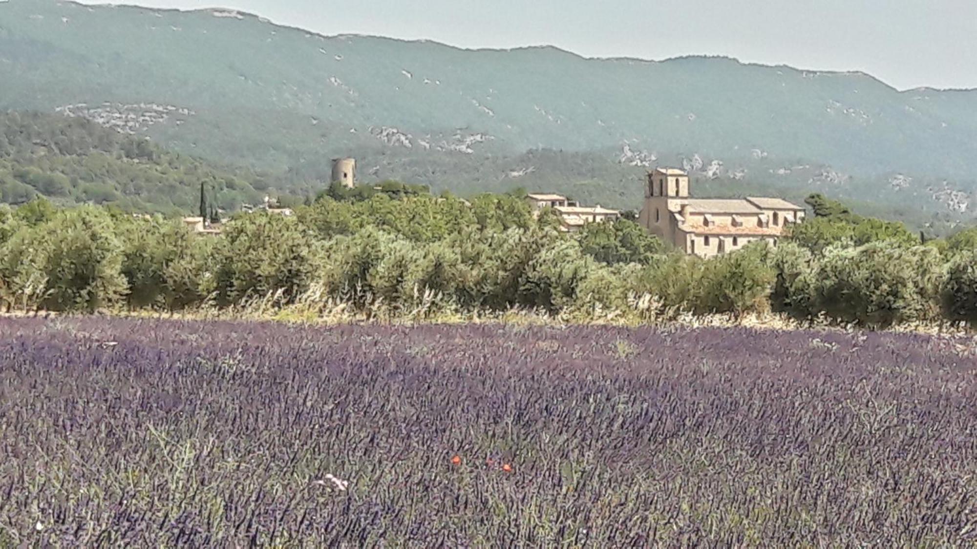 Les 3 Saisons Bed & Breakfast Cucuron Exterior foto