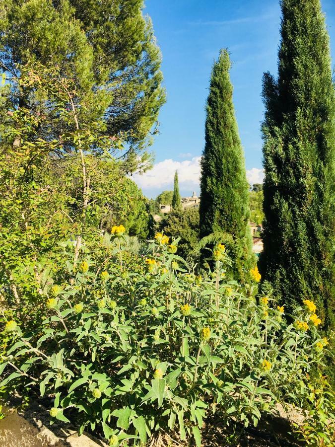 Les 3 Saisons Bed & Breakfast Cucuron Exterior foto